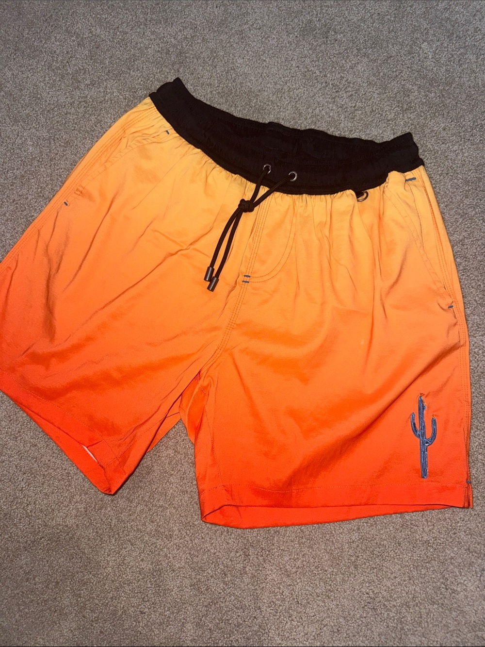 Baja Llama Orange Gradient cactus Swim Shorts Large 6” inseam